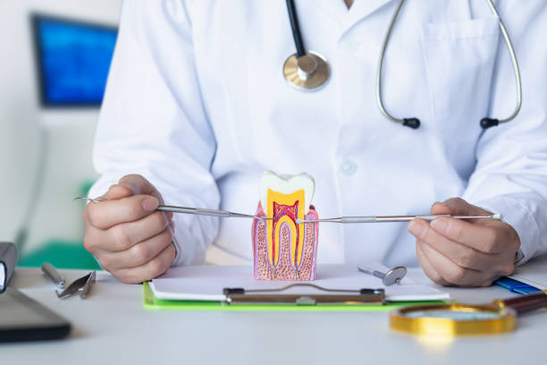 Best Broken or Chipped Tooth Repair in Lyons, NJ